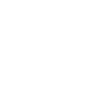 icon-re-engineering